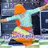 About Tu Sun Le Pile Wali Song